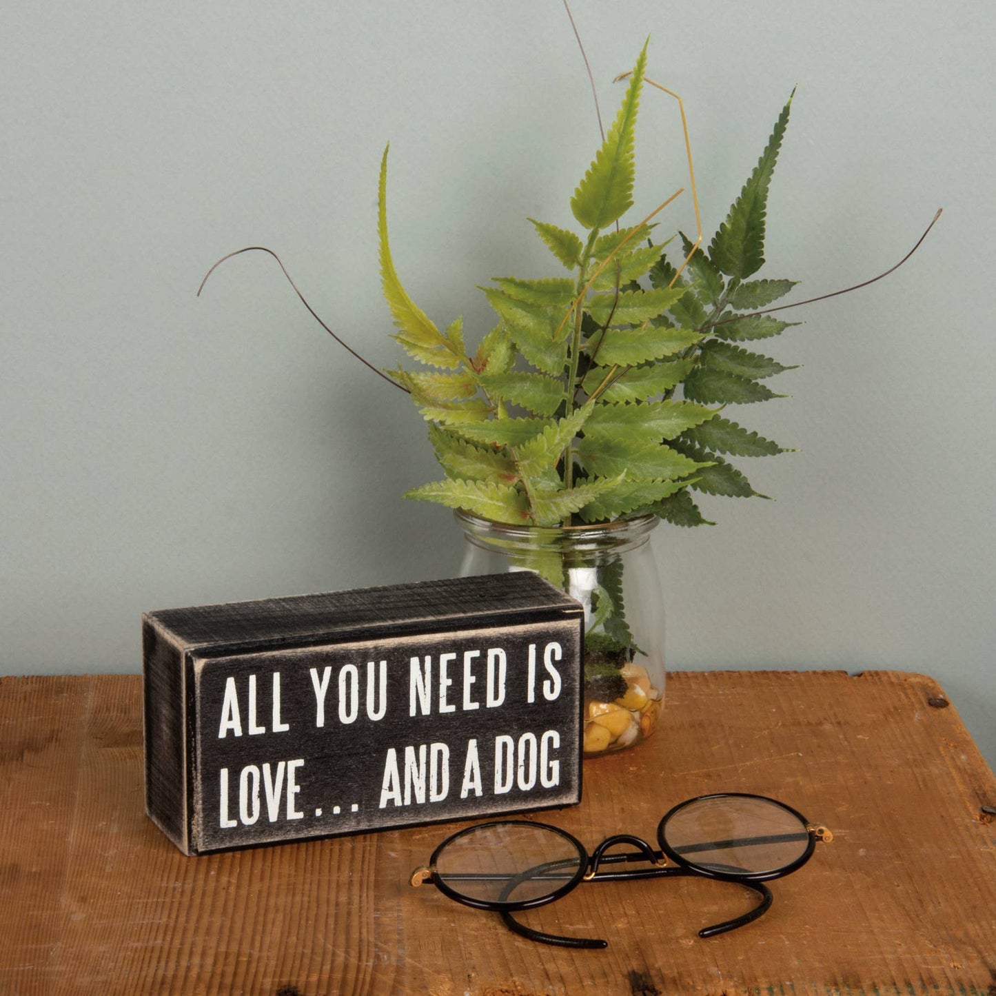 All You Need Is Love And A Dog Box
