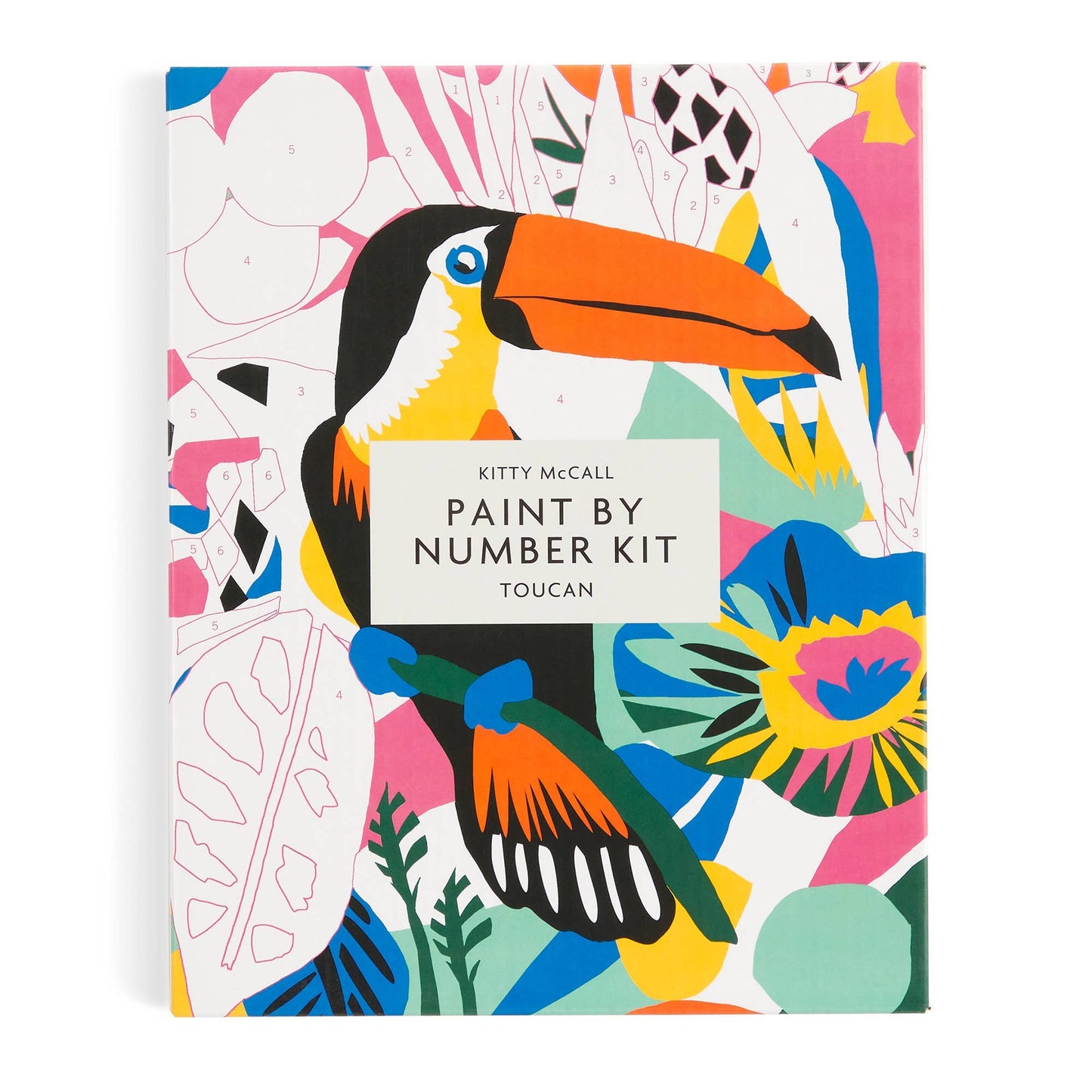 Paint By Number Kit