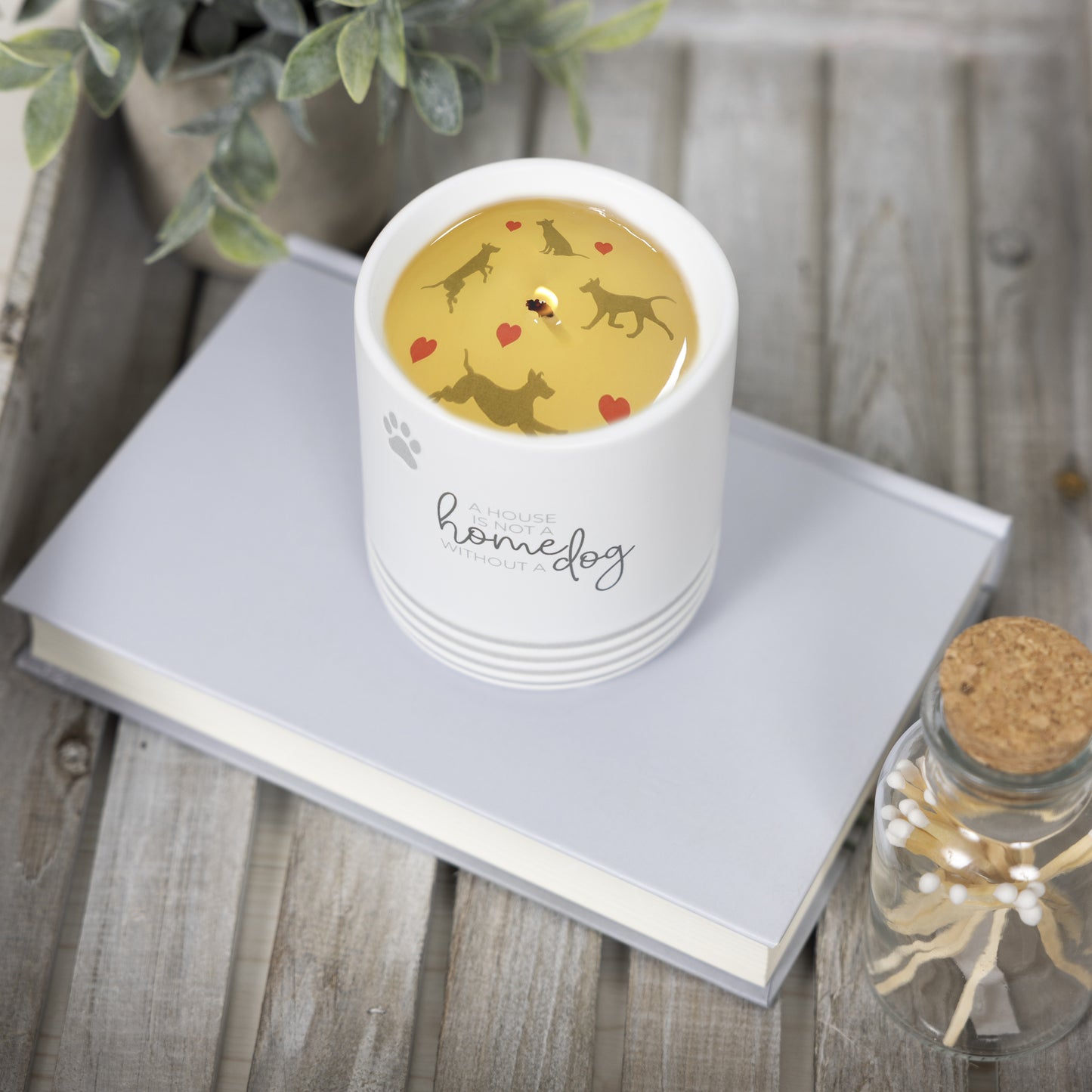 Pavilion - Home - Dog - 10 oz - 100% Soy Wax Reveal Candle