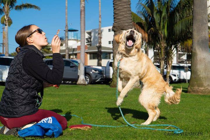 Pets Peanut Butter Swirl bubbles