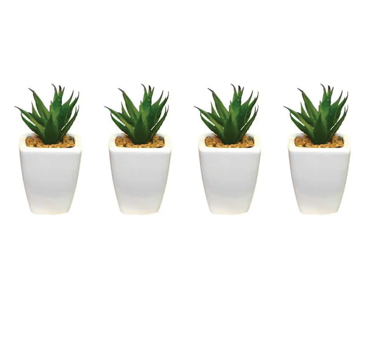 Succulents White Square Pot