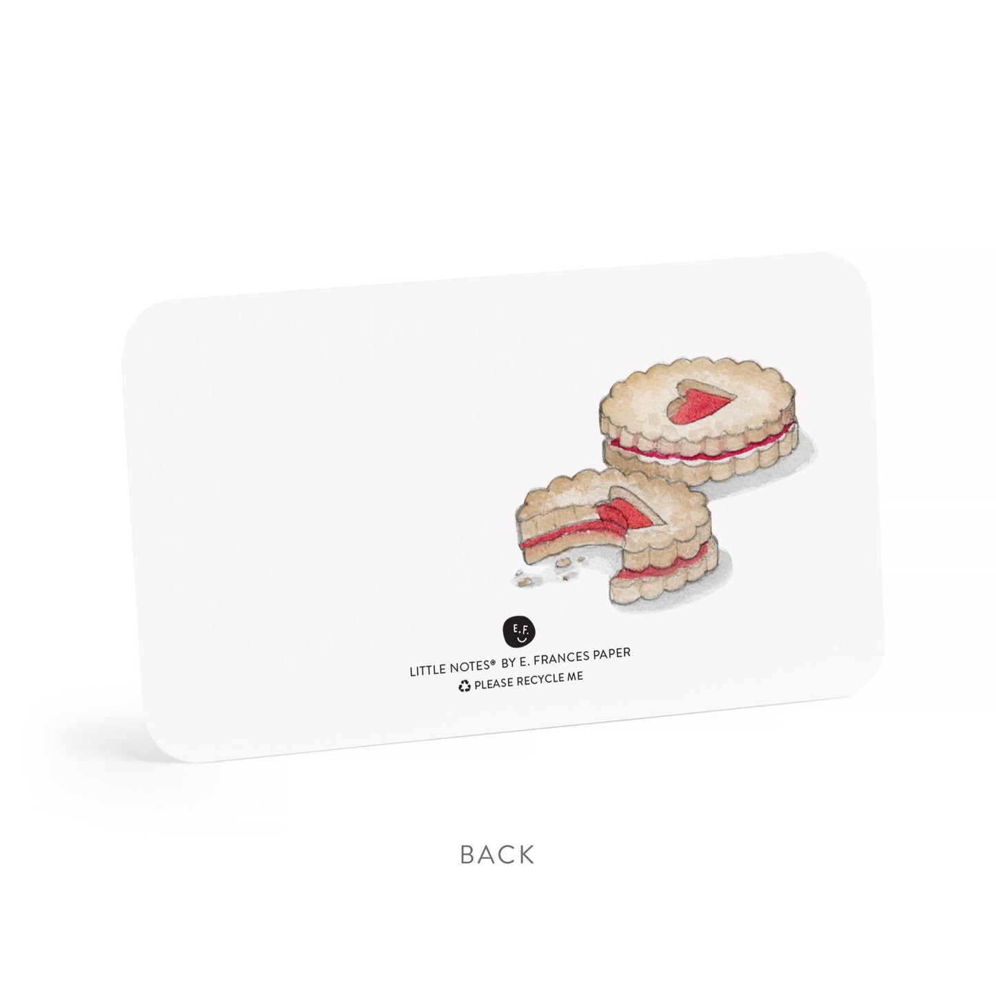 Latte and Pie Little Notes® NEW 55 Count
