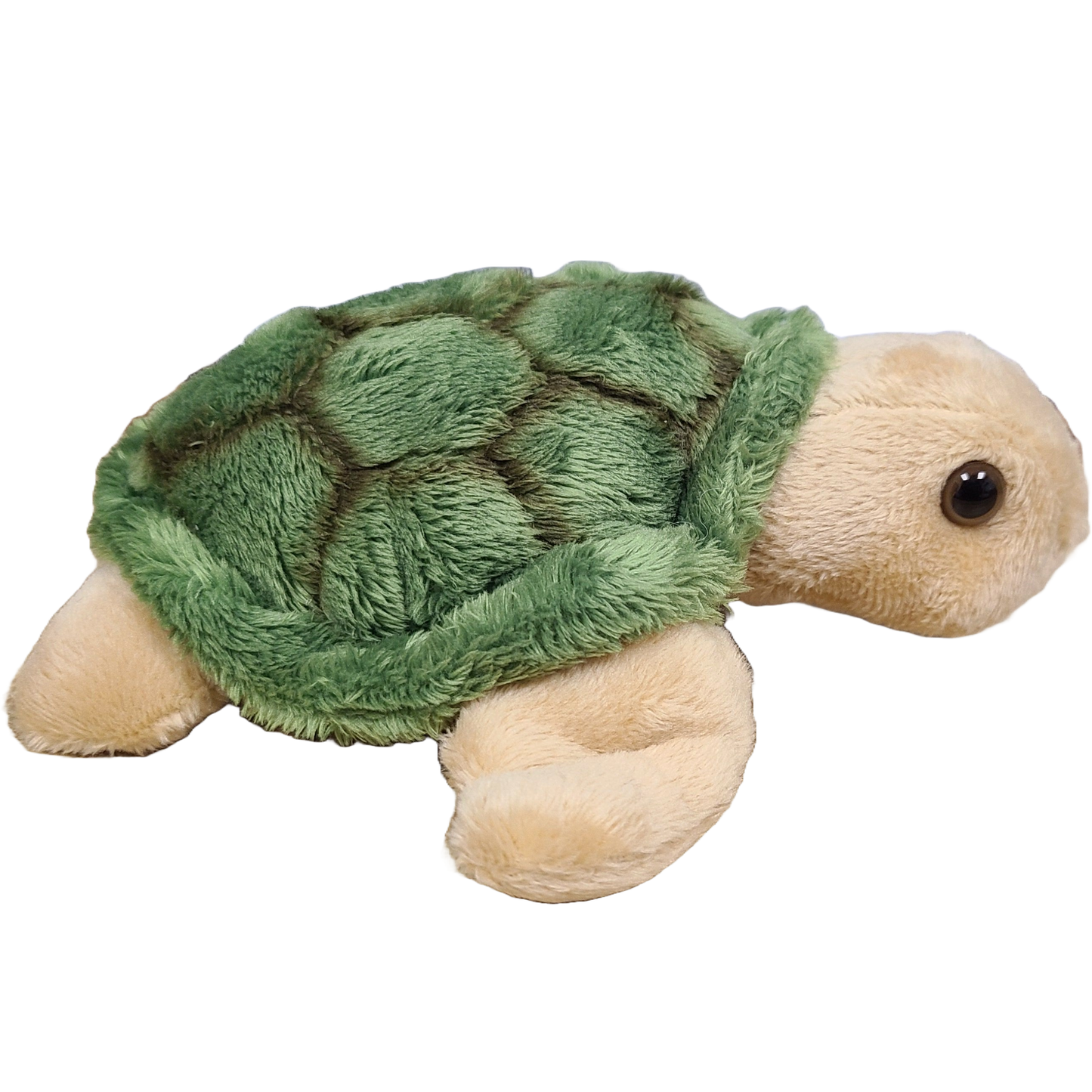 Canned Sea Turtle Stuffed Animal Plush w/Jokes