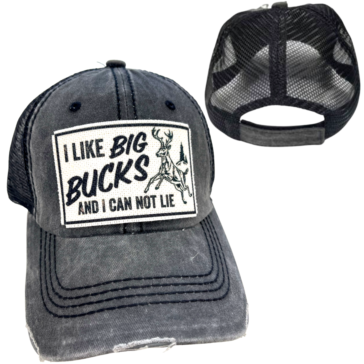 I LIKE BIG BUCKS AND I CAN NOT LIE