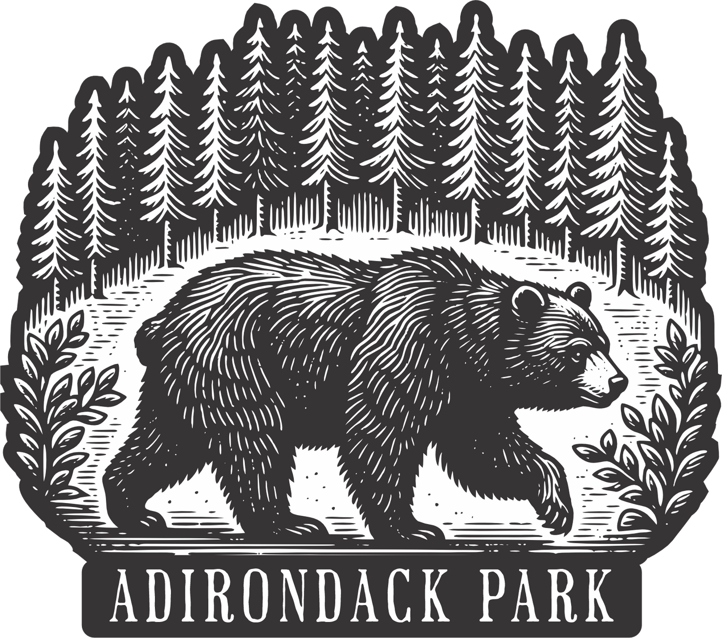 Bear in a Forest Deep Creek