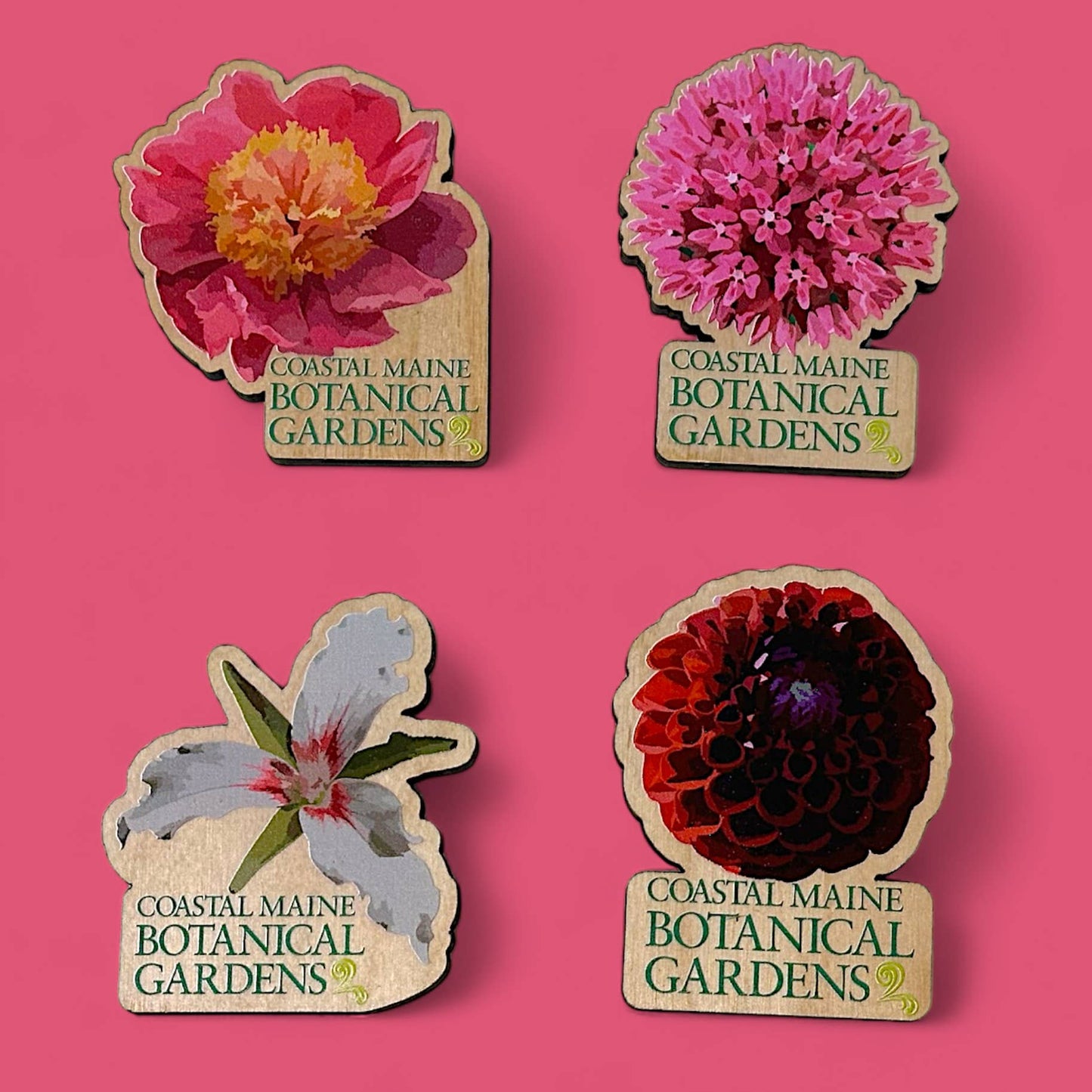 Deep Creek Wooden Magnets -