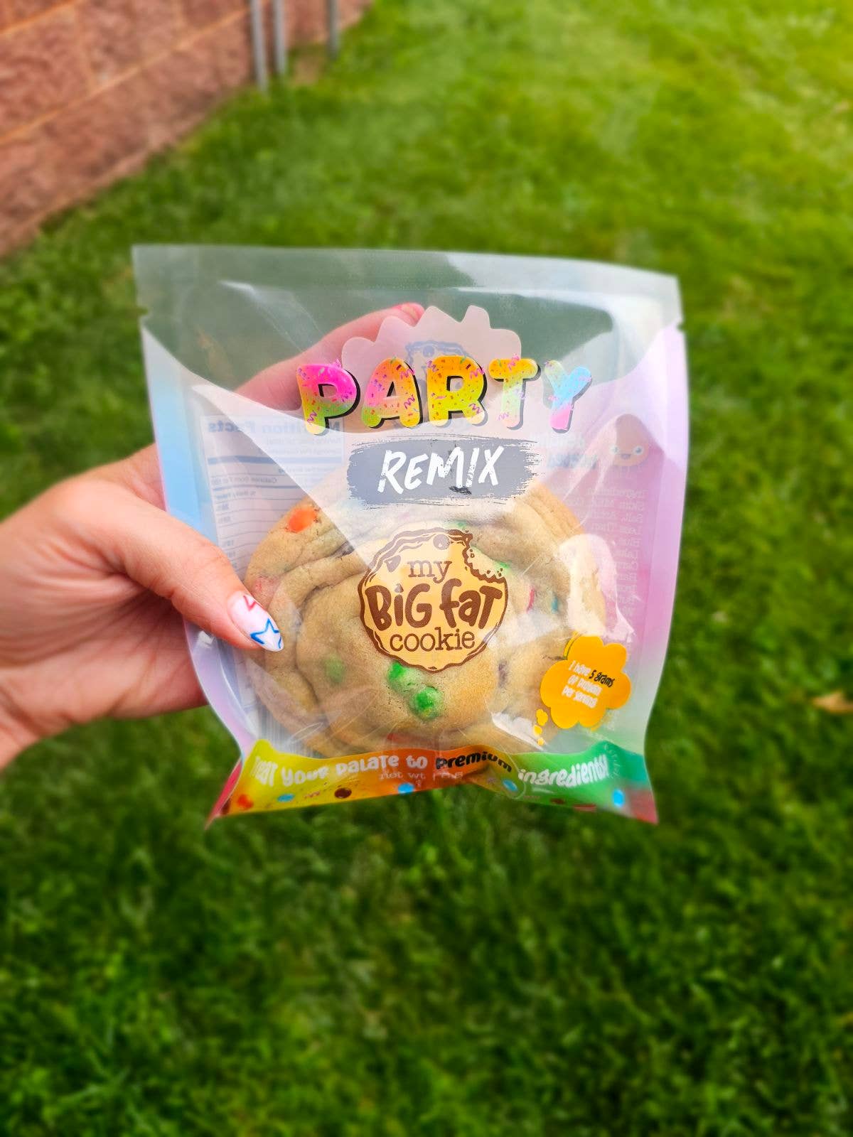 My Big Fat Cookie - Party Remix (M&M's)