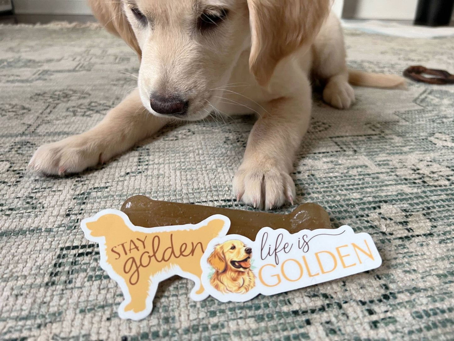 Golden Retriever Dog Sticker