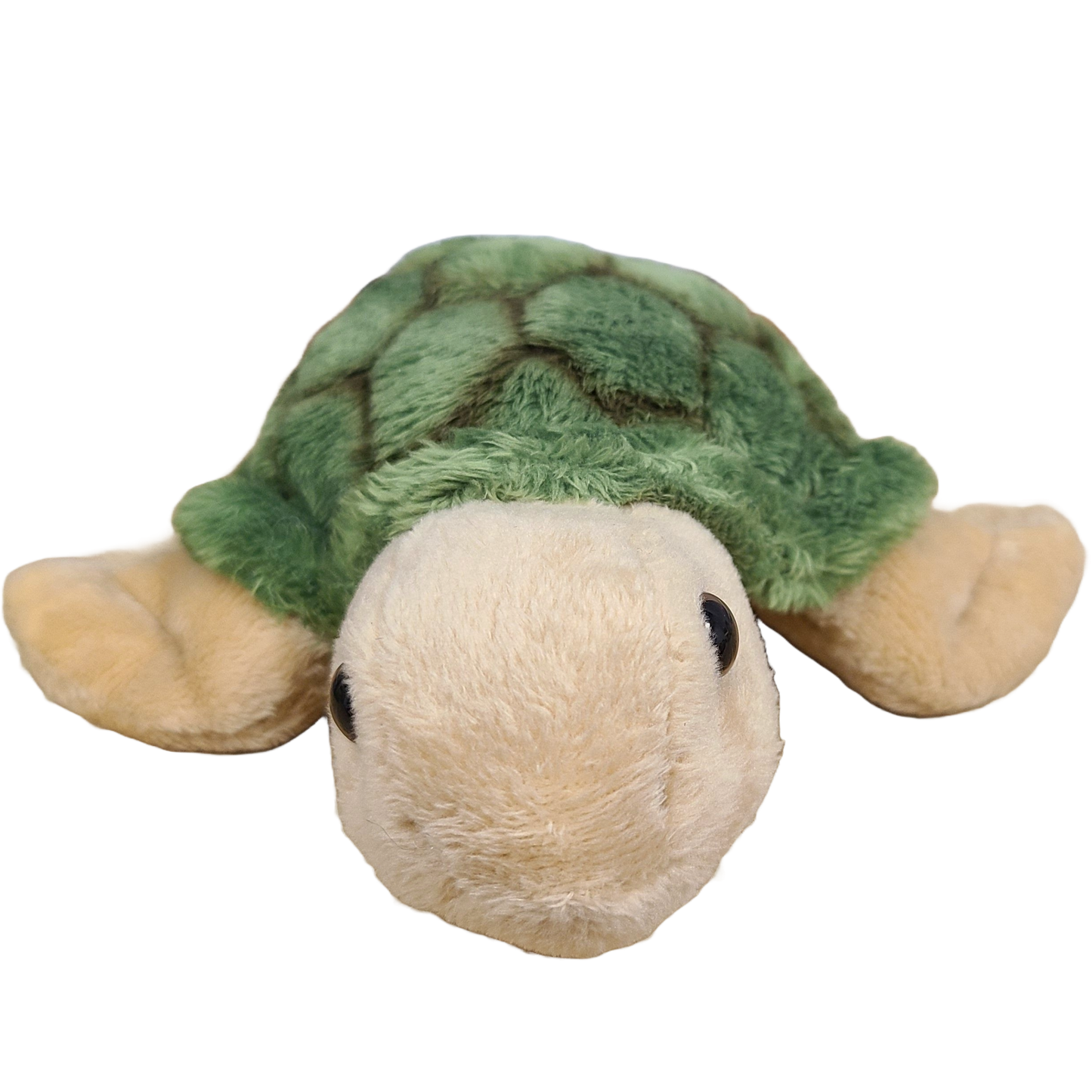 Canned Sea Turtle Stuffed Animal Plush w/Jokes