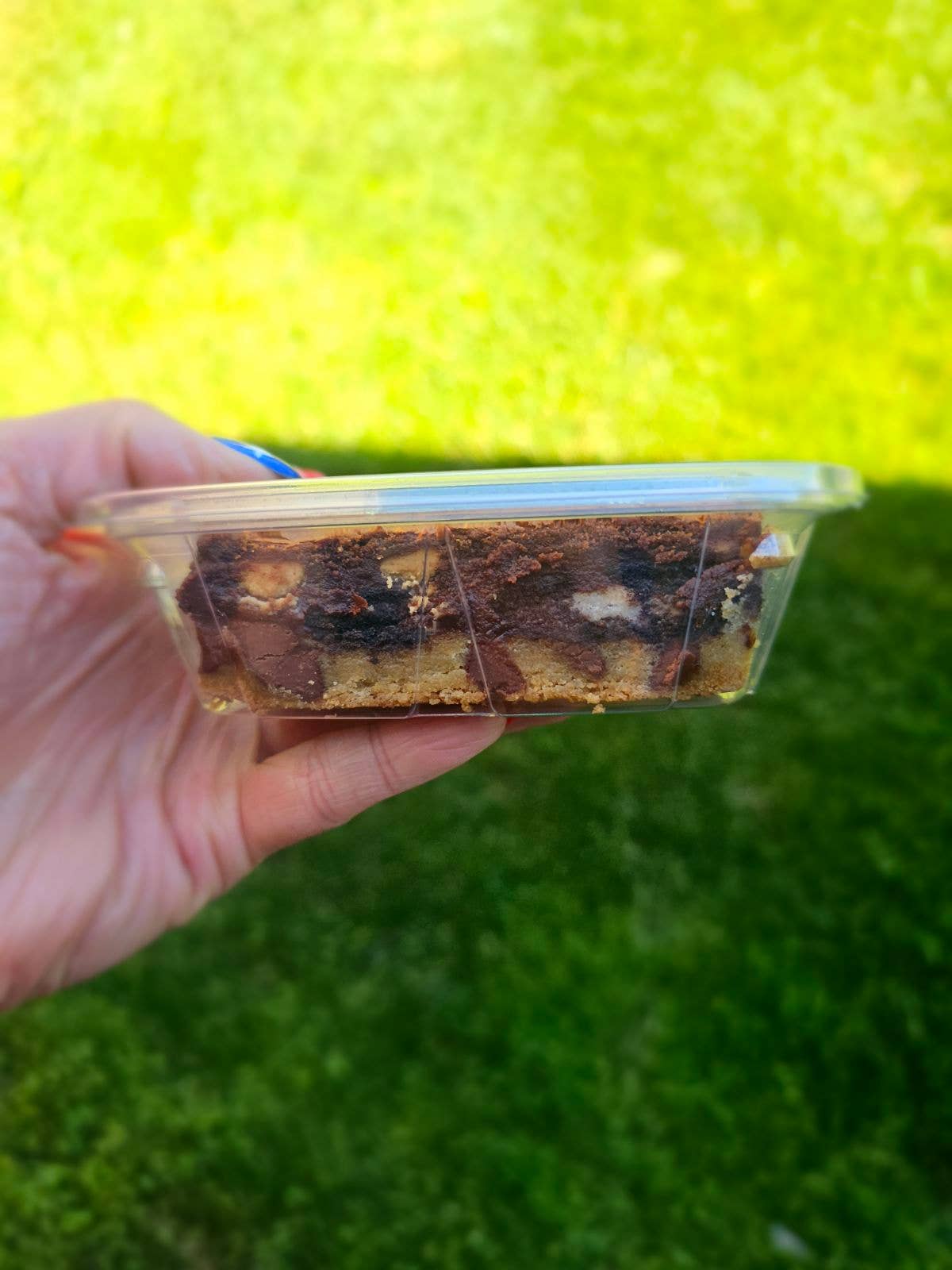 My Big Fat Cookie - Brownie: Do Me Dirty