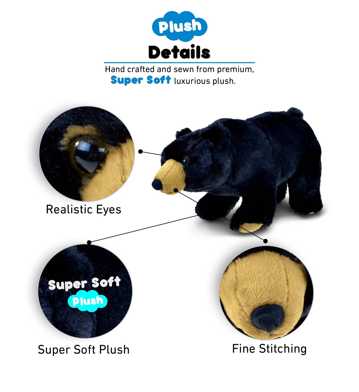 Wild Small Black Bear