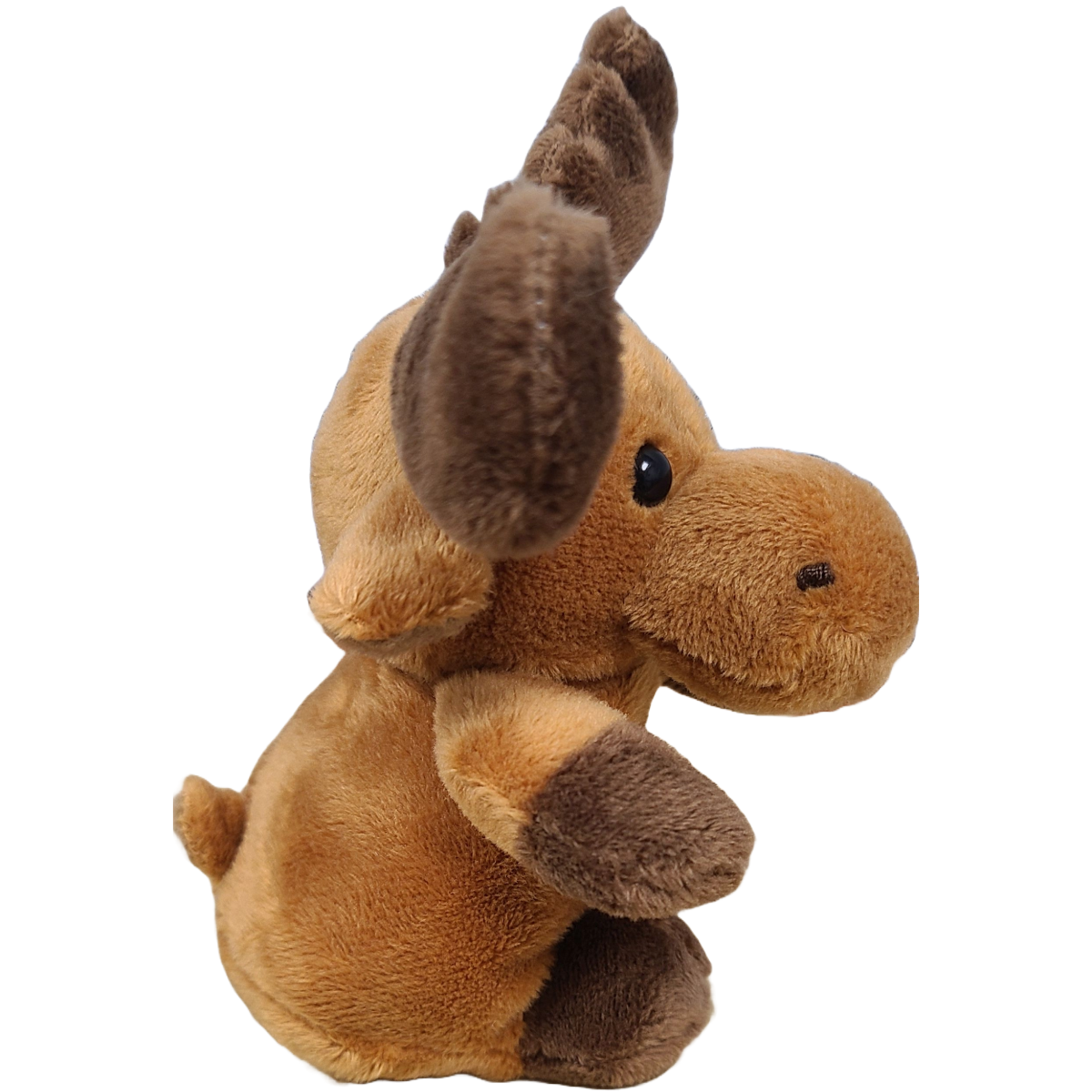 Rocky the Canned Moose