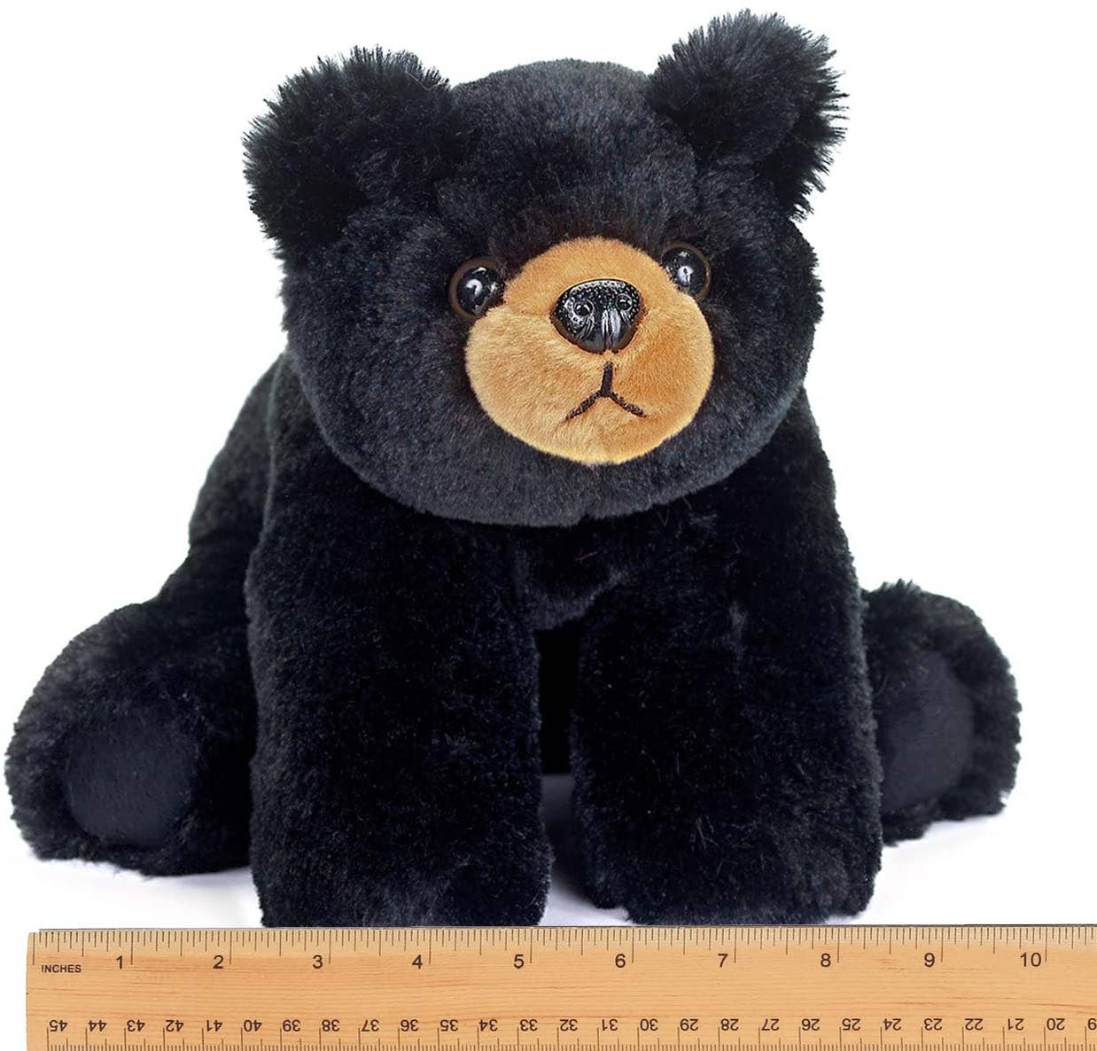 Baby Bandit the Black Bear