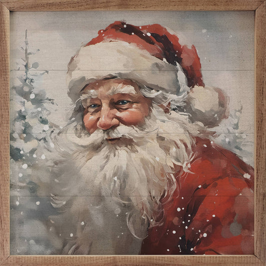 Santa Snowy Portrait