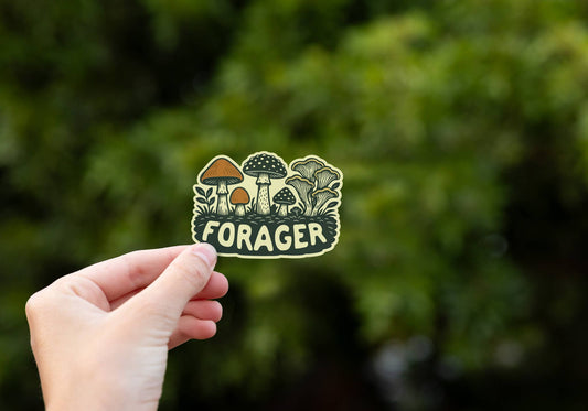 Forager Mushroom