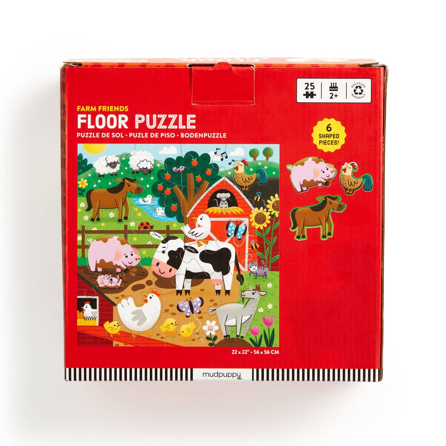 25 Piece Floor Puzzle