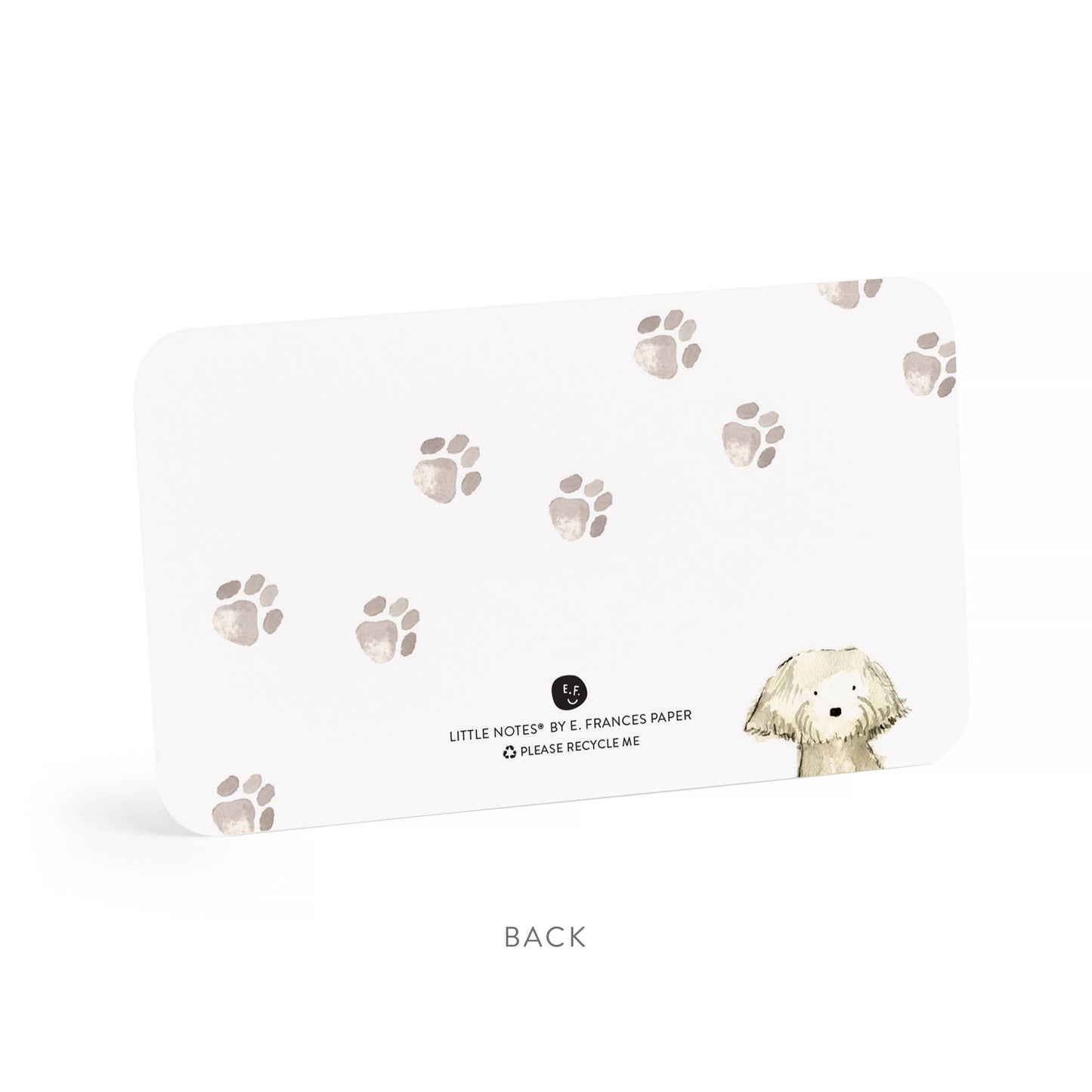 Dog Days Little Notes® NEW 55 Count