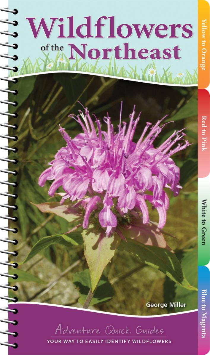 Wildflowers of Northeast Quick Guide