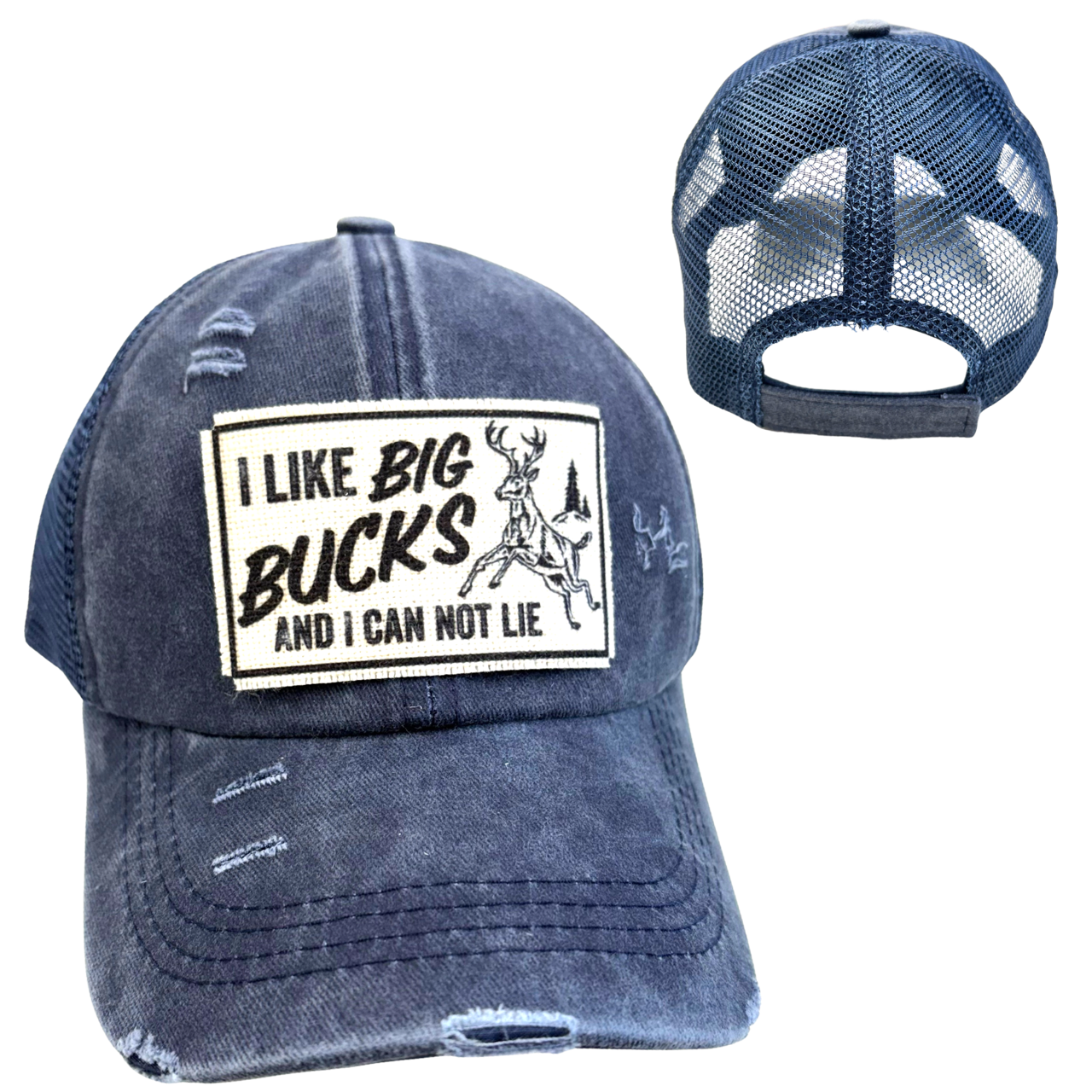 I LIKE BIG BUCKS AND I CAN NOT LIE