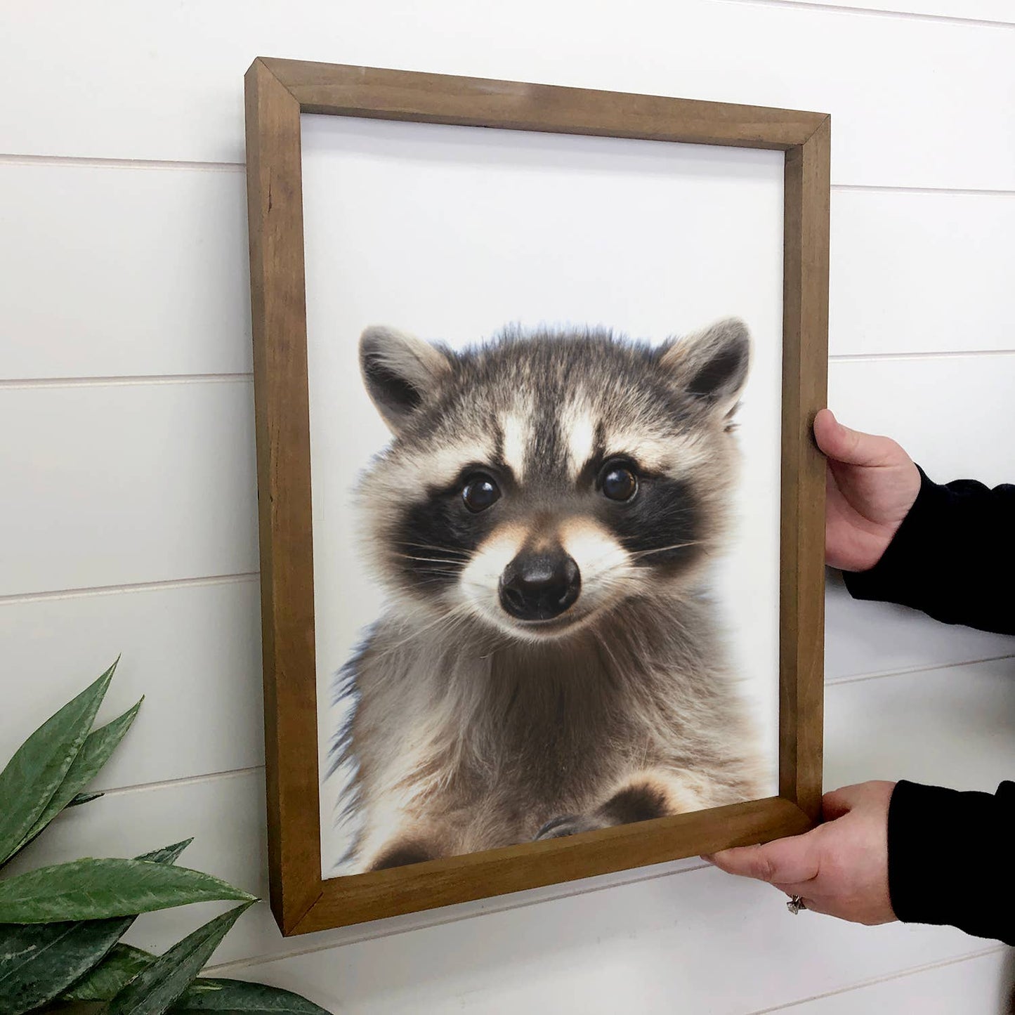 Baby Raccoon Wood Sign