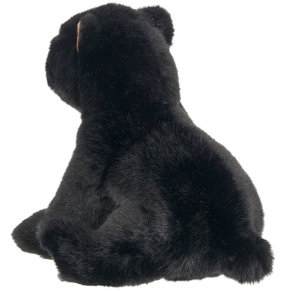 Asher the Black Bear