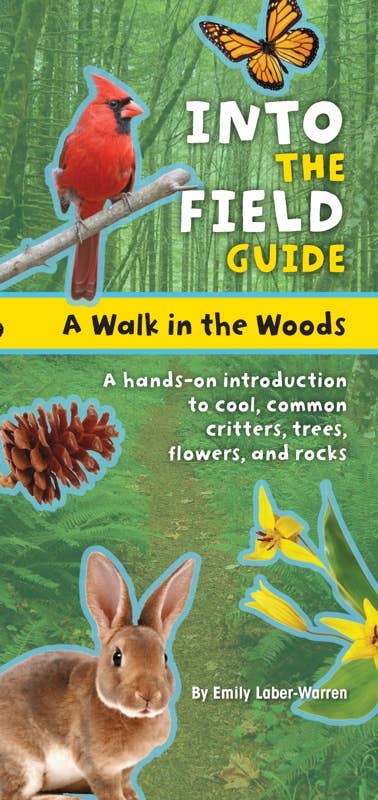 Walk in the Woods
