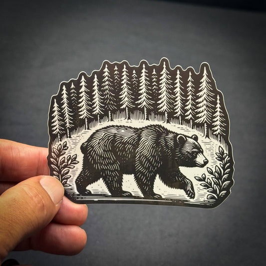 Bear in a Forest Deep Creek