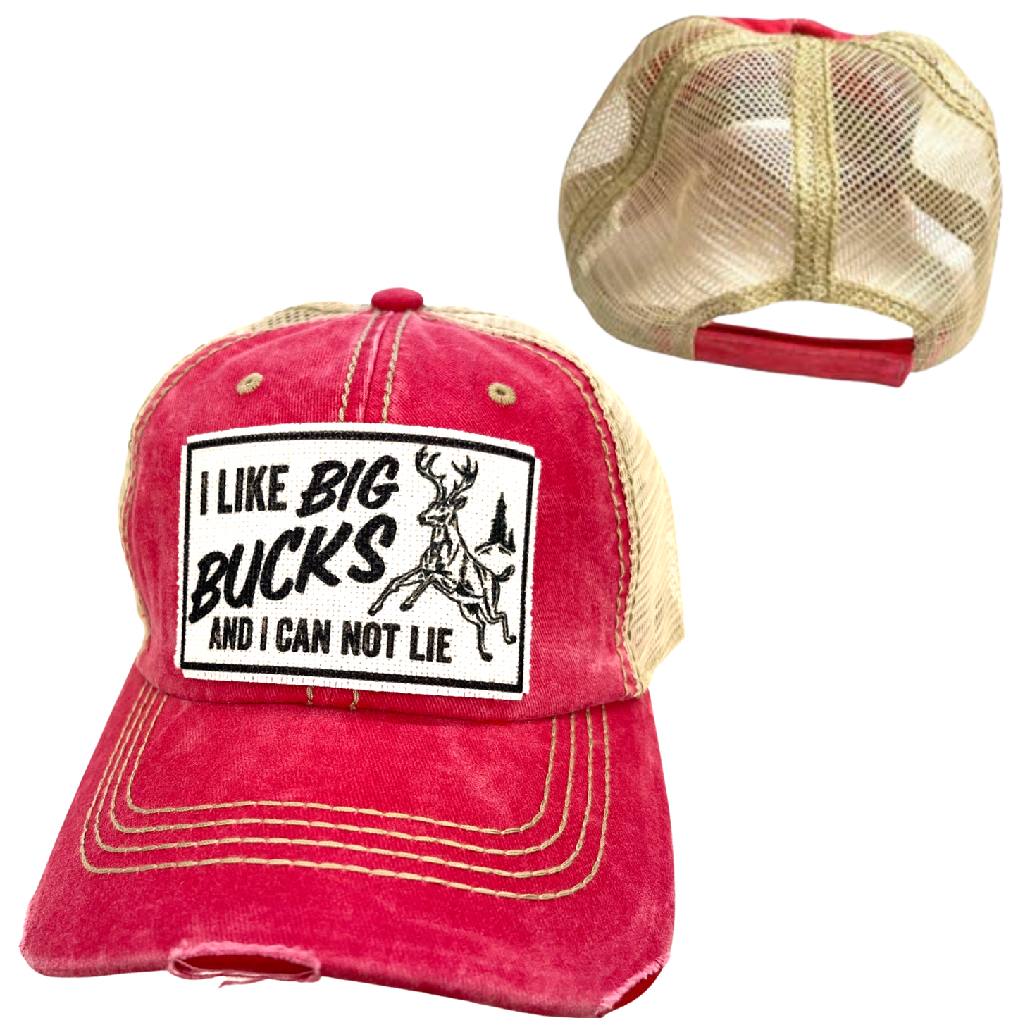 I LIKE BIG BUCKS AND I CAN NOT LIE