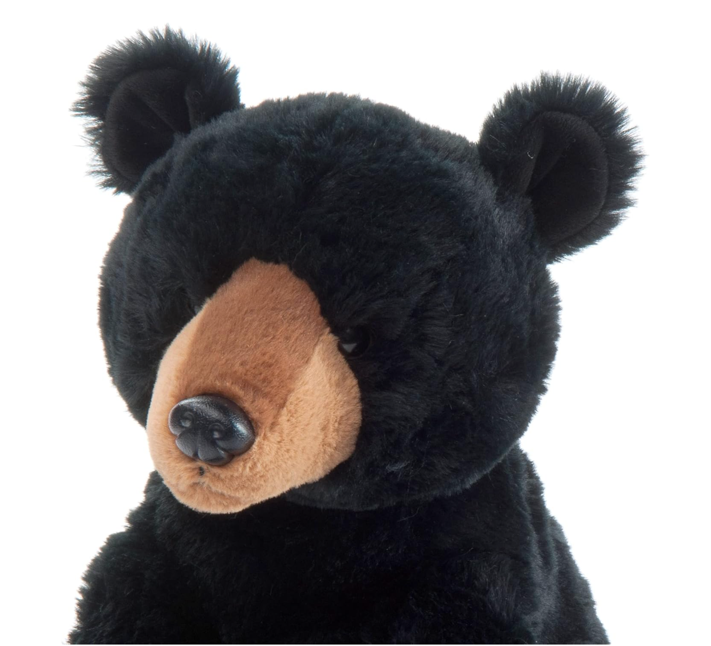 Wild Onez Black Bear
