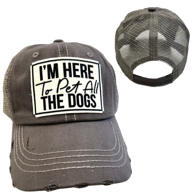 I'M HERE TO PET ALL THE DOGS