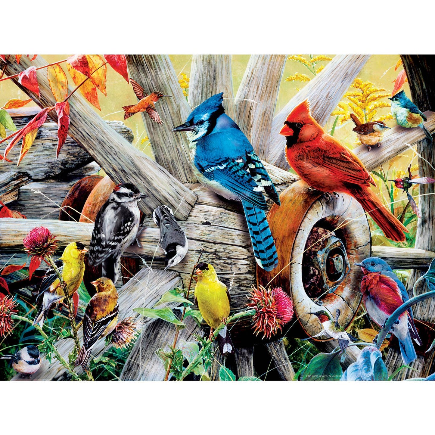 Audubon - Backyard Birds 300 Piece EZ Grip Puzzle