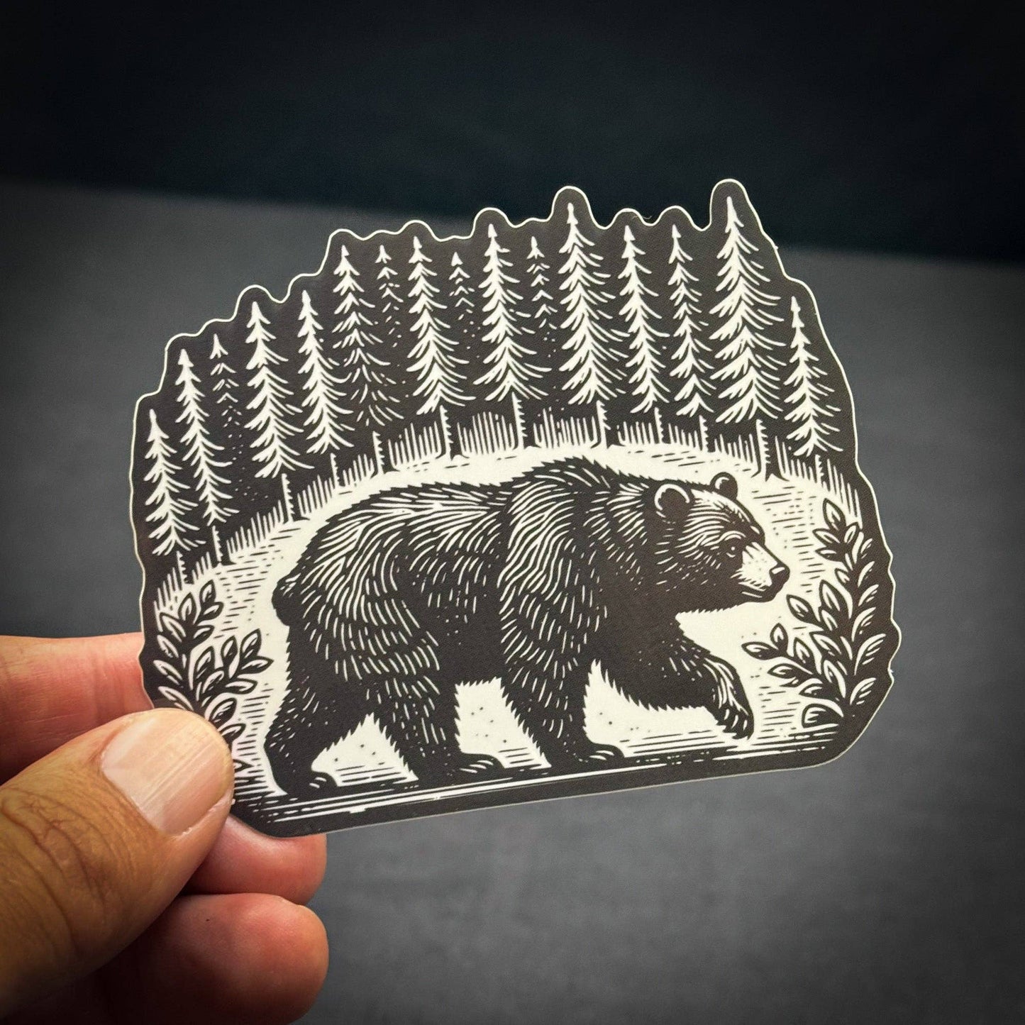 Bear in a Forest Deep Creek