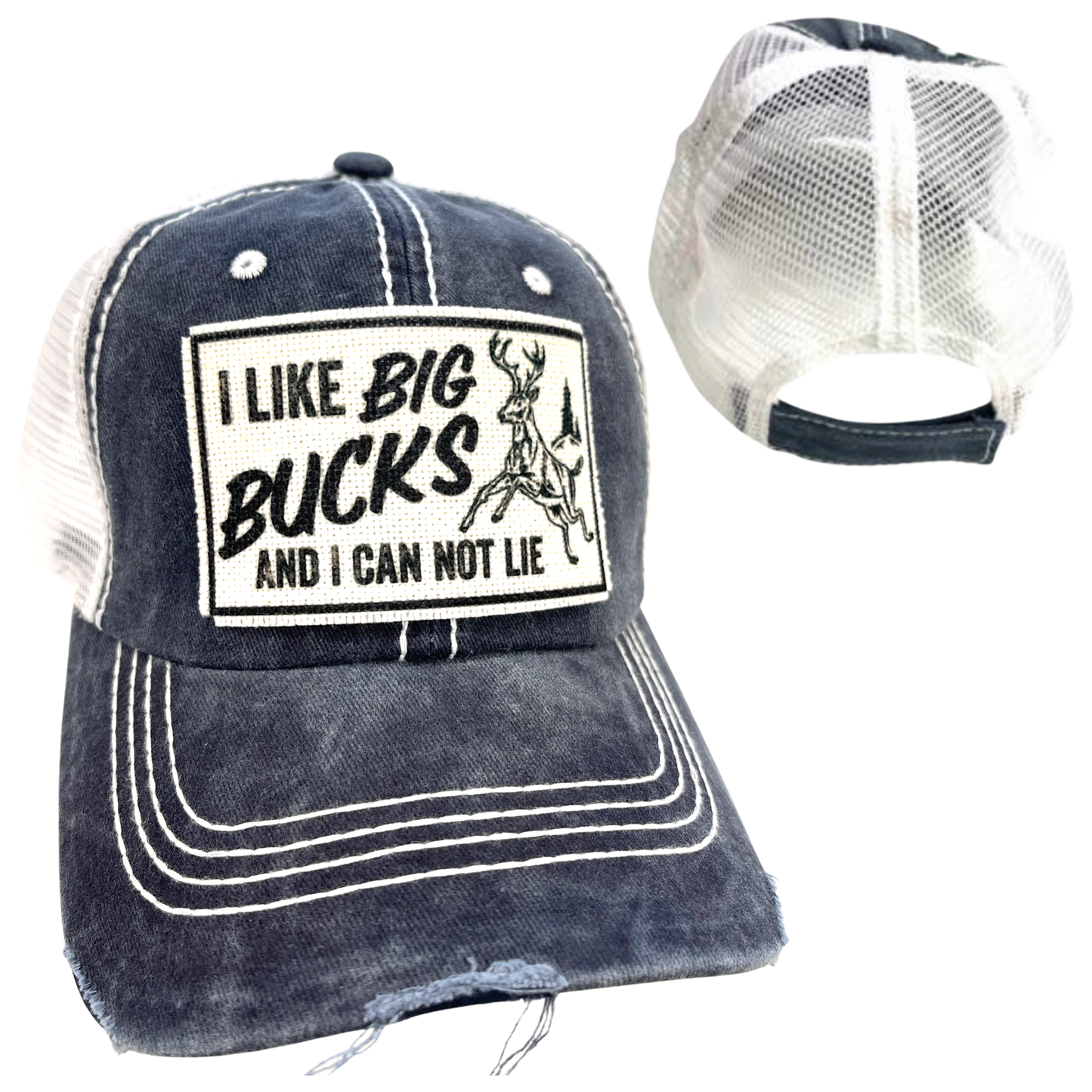 I LIKE BIG BUCKS AND I CAN NOT LIE