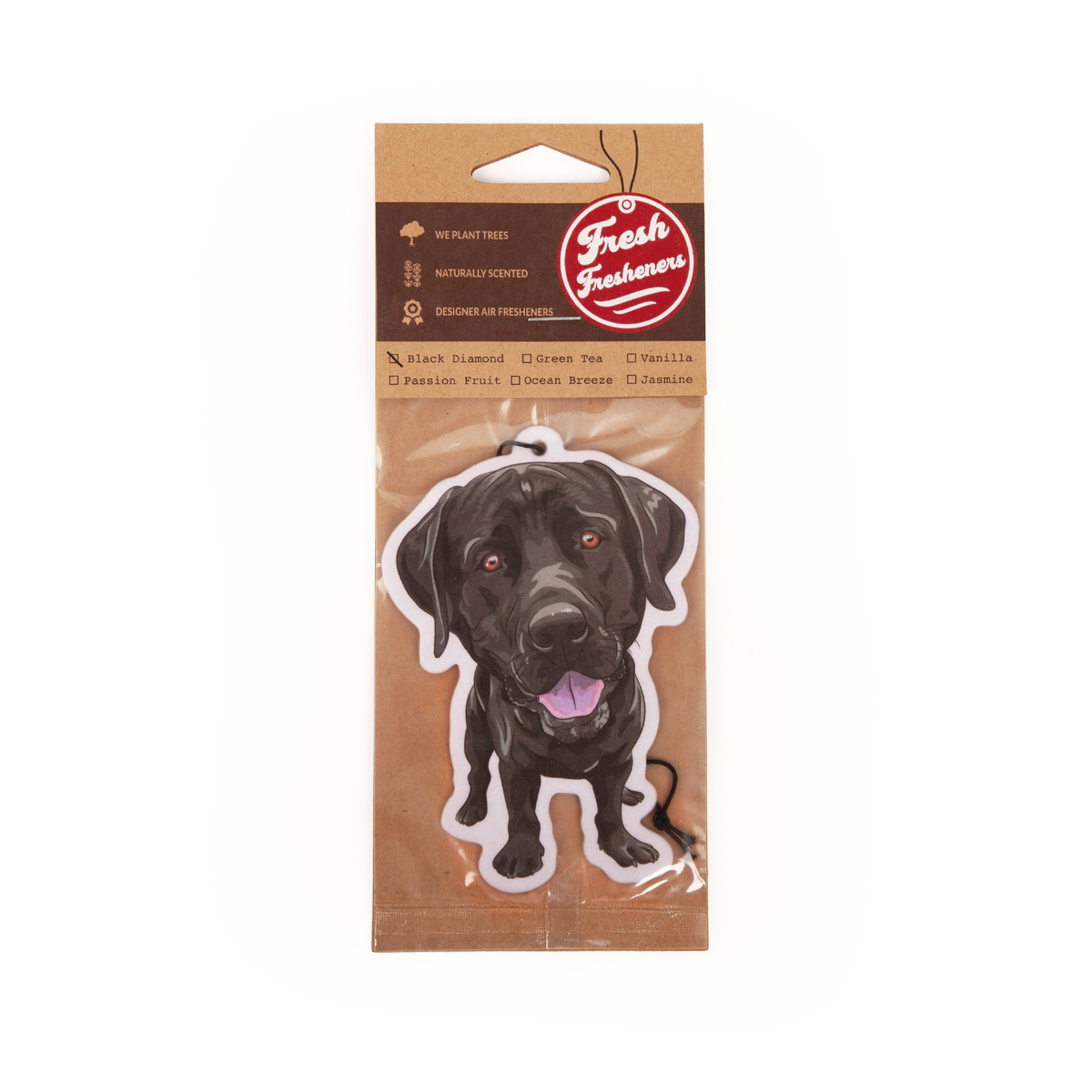 Black Lab