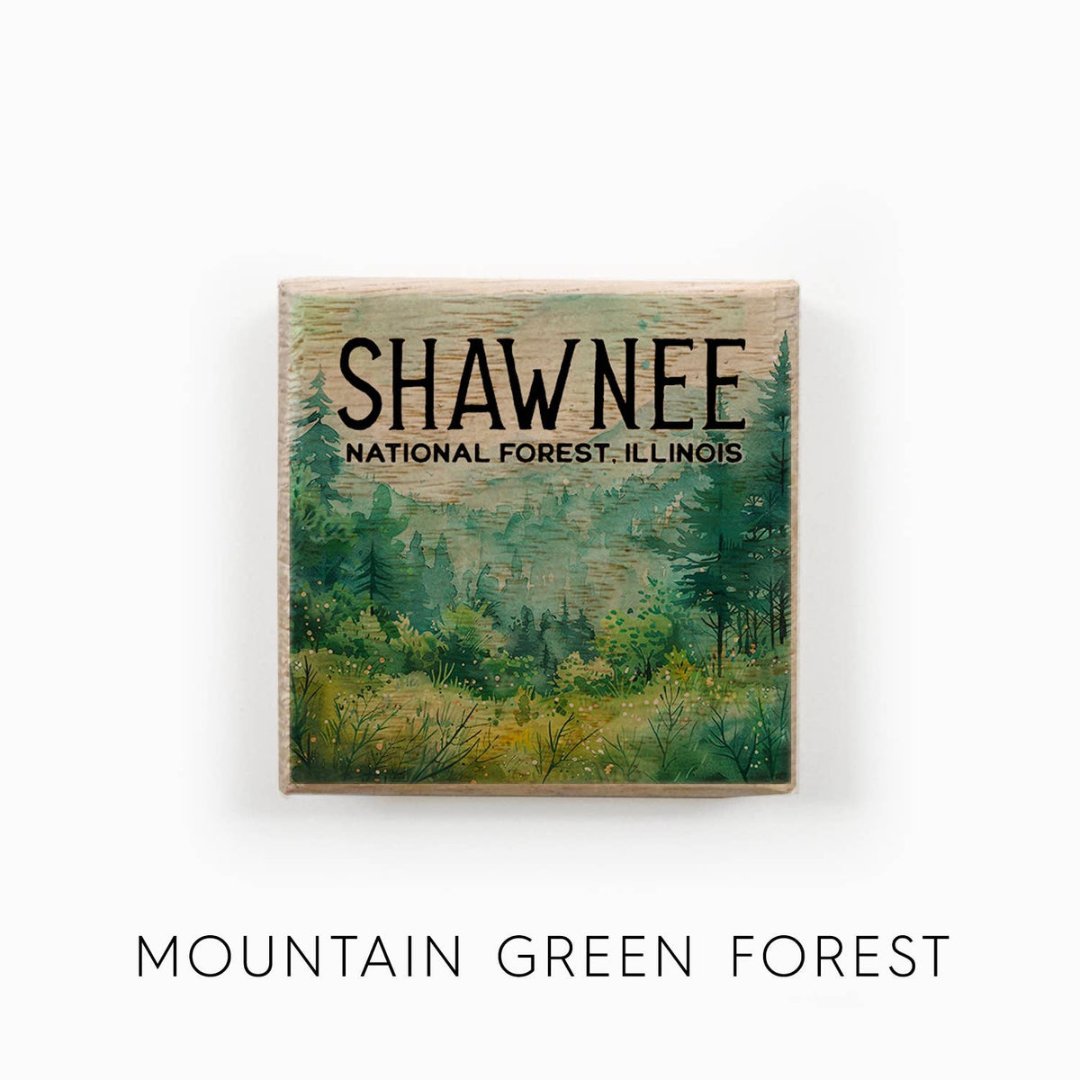 Watercolor Printed Wood Magnets