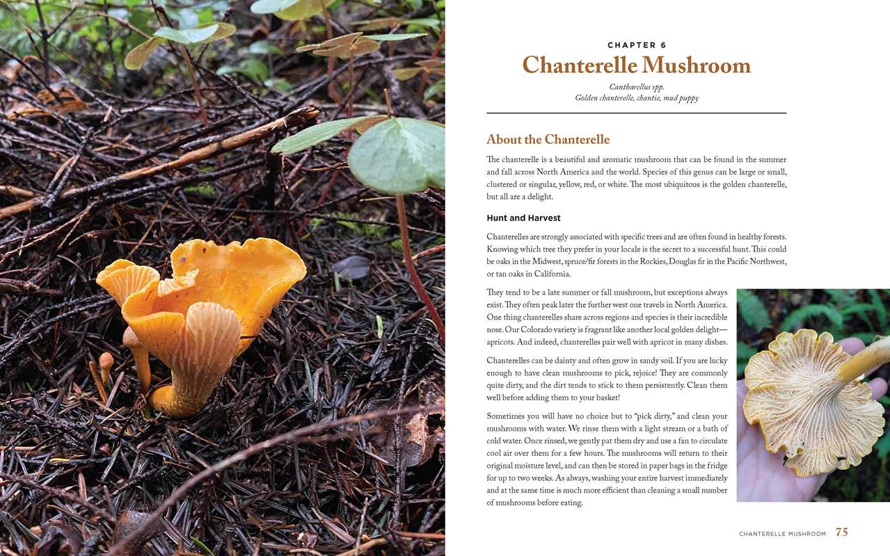 Wild MushroomsCookbook