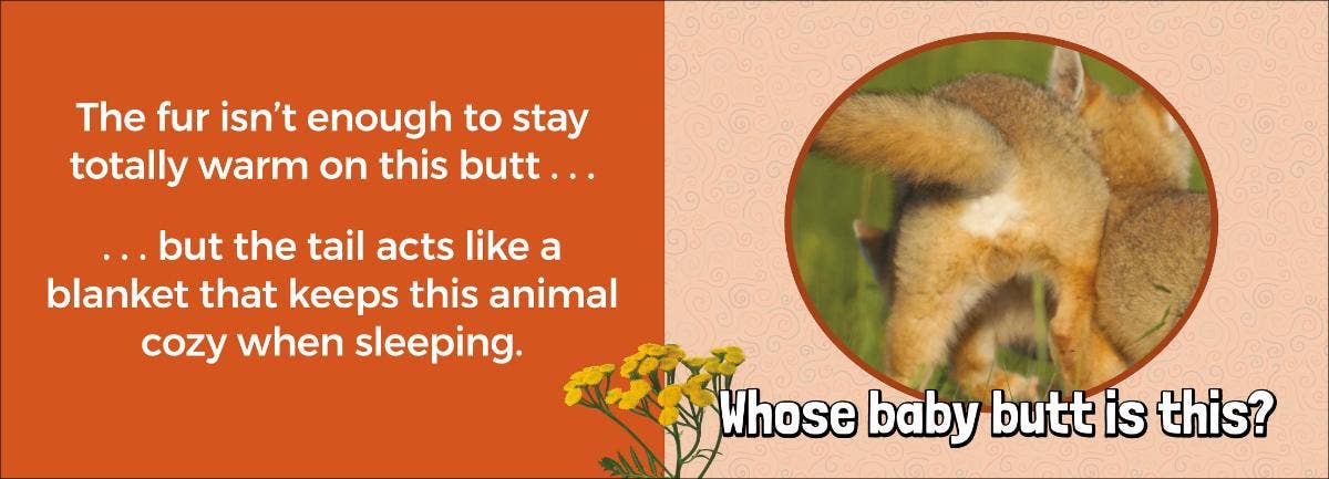 Whose Baby Butt?