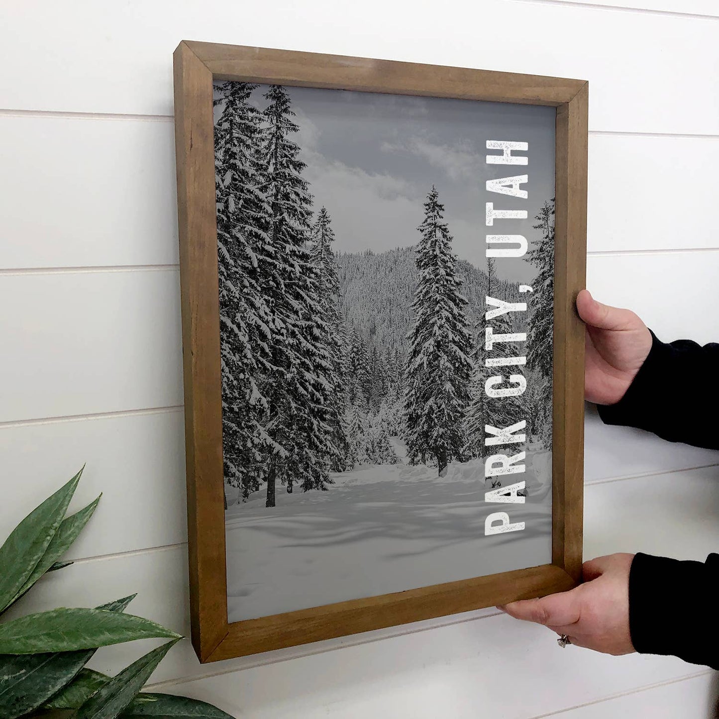 Deep Creek - Snowy Pines