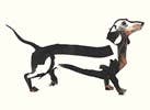 For the Love of Dogs: 25 Postcards