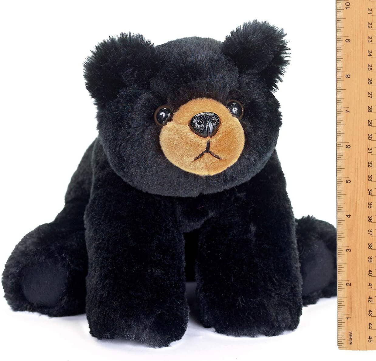 Baby Bandit the Black Bear