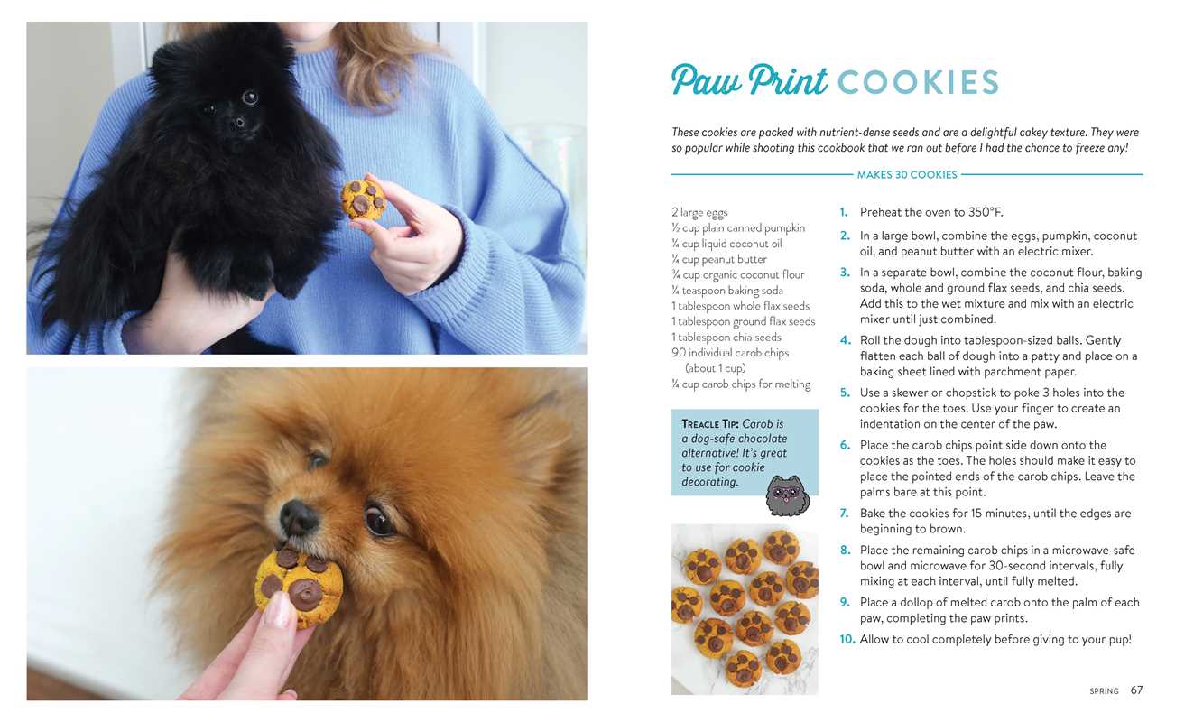 Pup-Approved Dog Treat Recipes