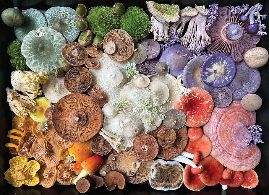 Mushroom Puzzle 10000 piece