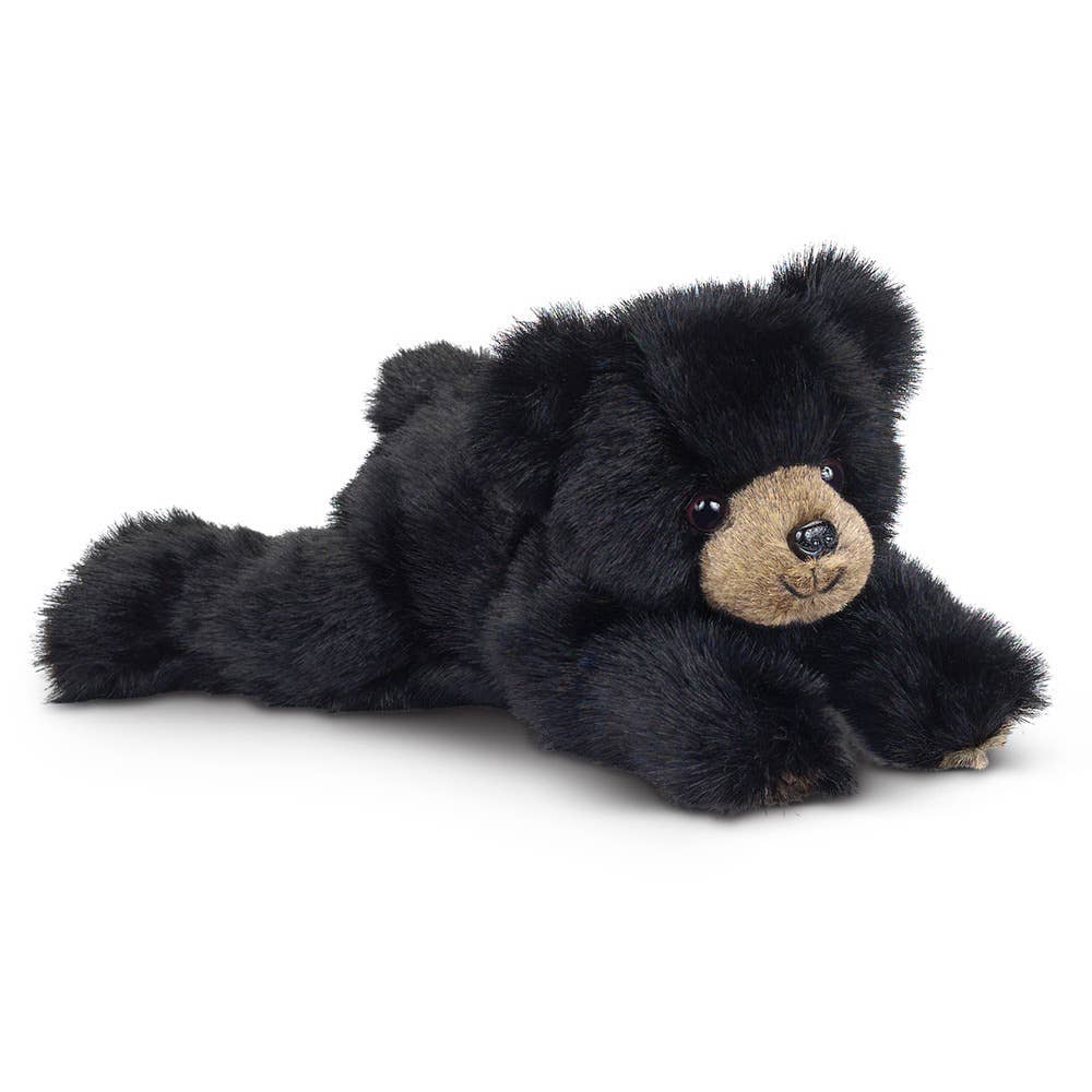 Baby Rocky the Black Bear