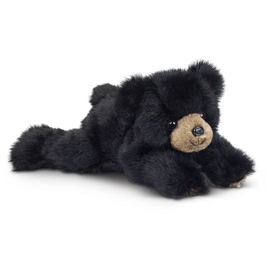 Baby Rocky the Black Bear
