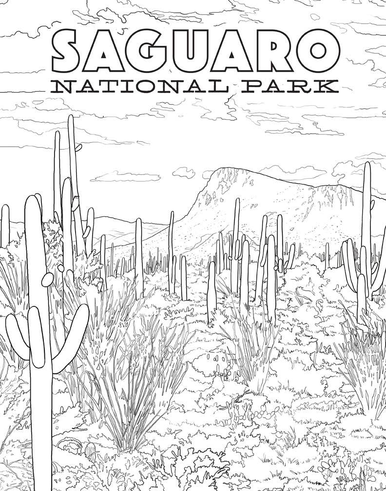 The National Parks Poster Coloring Book