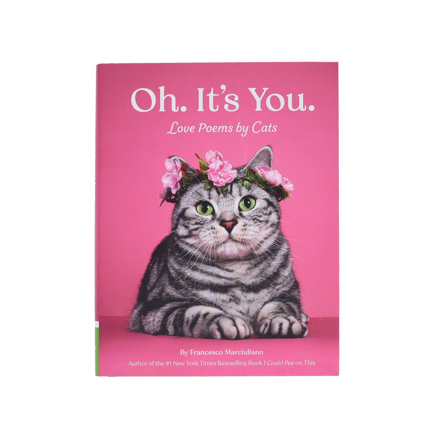 Chronicle Books - Oh. It's You.