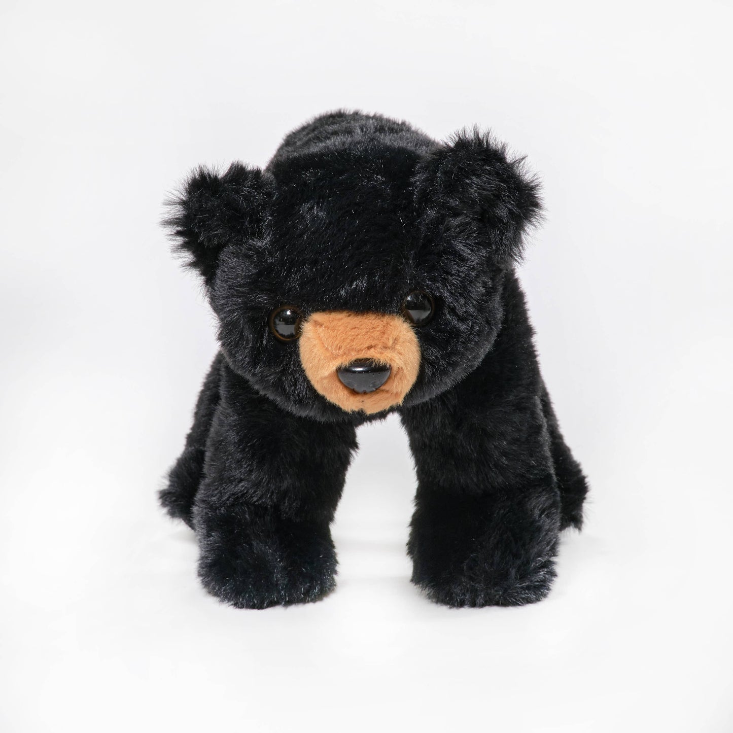 Bandit the Black Bear