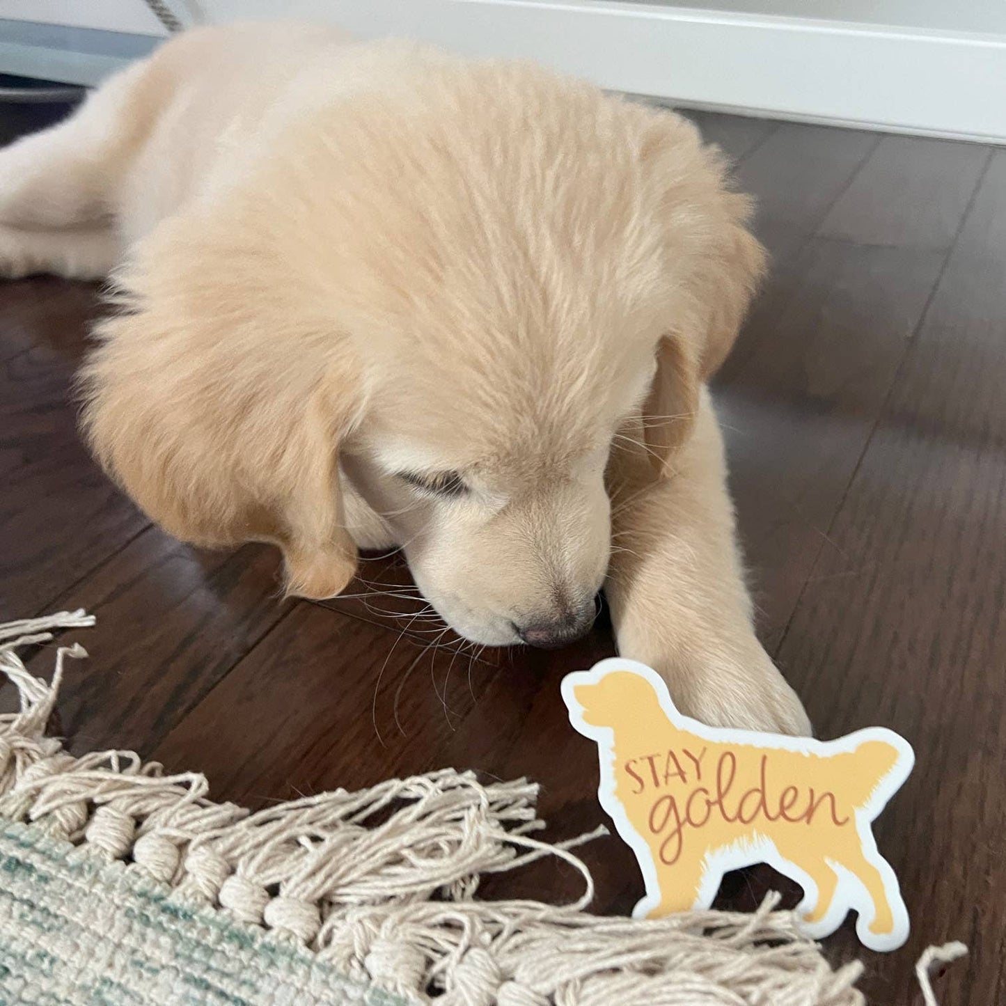 Golden Retriever Dog Sticker