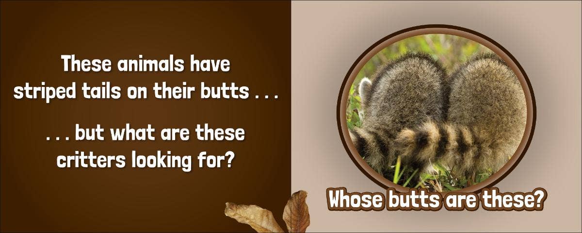 Whose Butt?