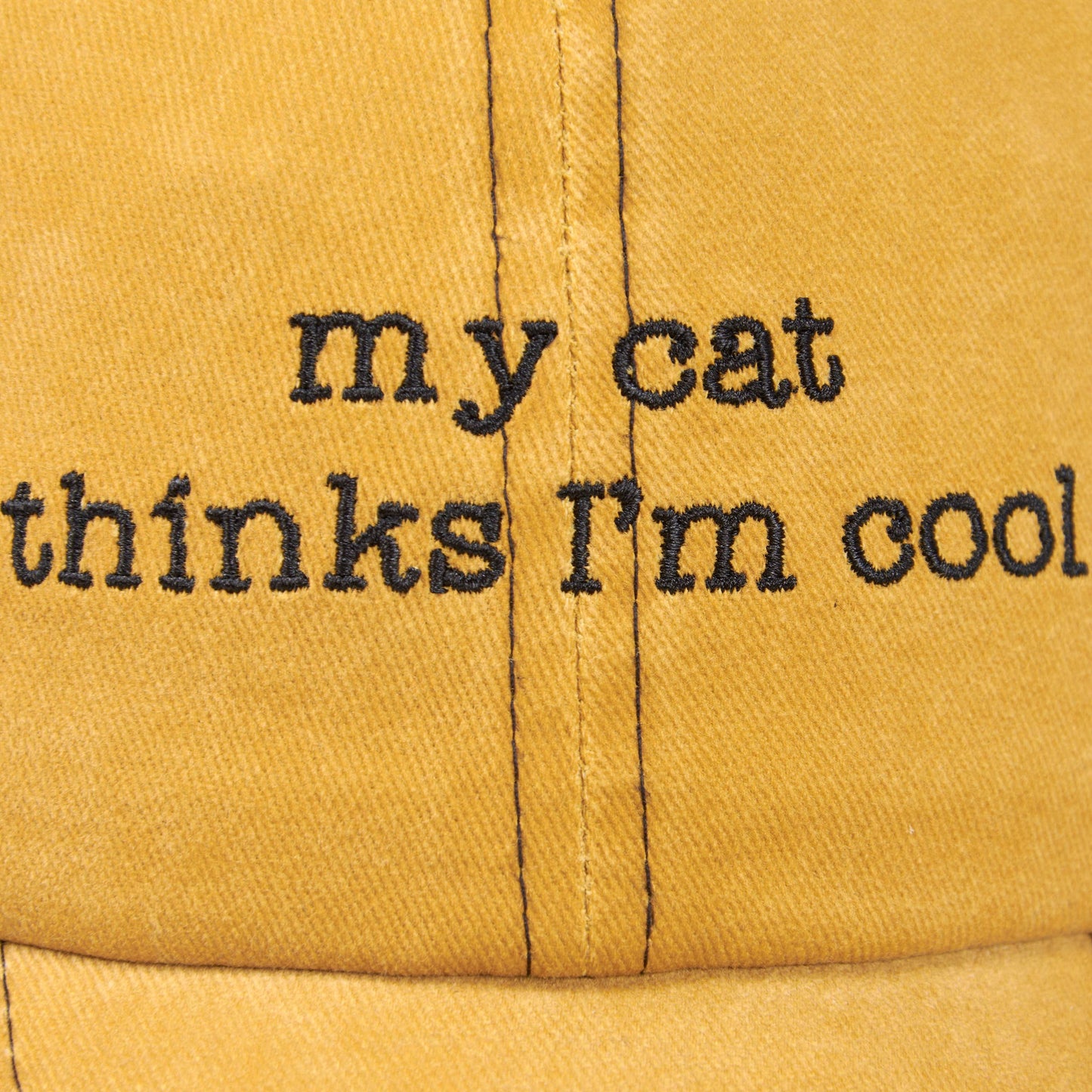My Cat thinks I'm cool Hat